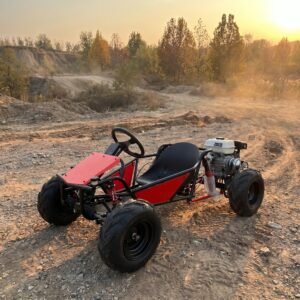 Four-stroke steering wheel go-kart $1,360